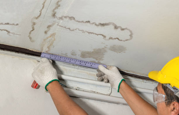Reliable Water Damage Repair contractor in Vestaburg, MI by Hirex Water Damage